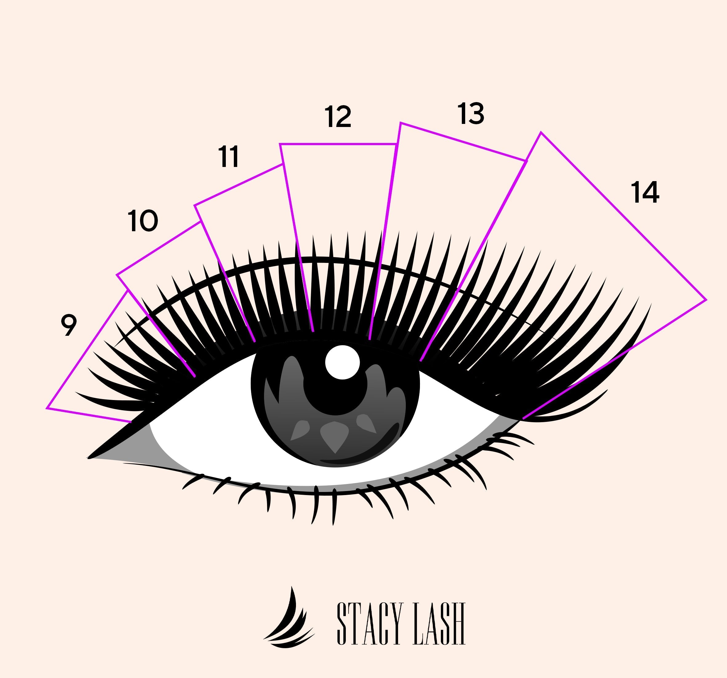 cat style lash map inphographics