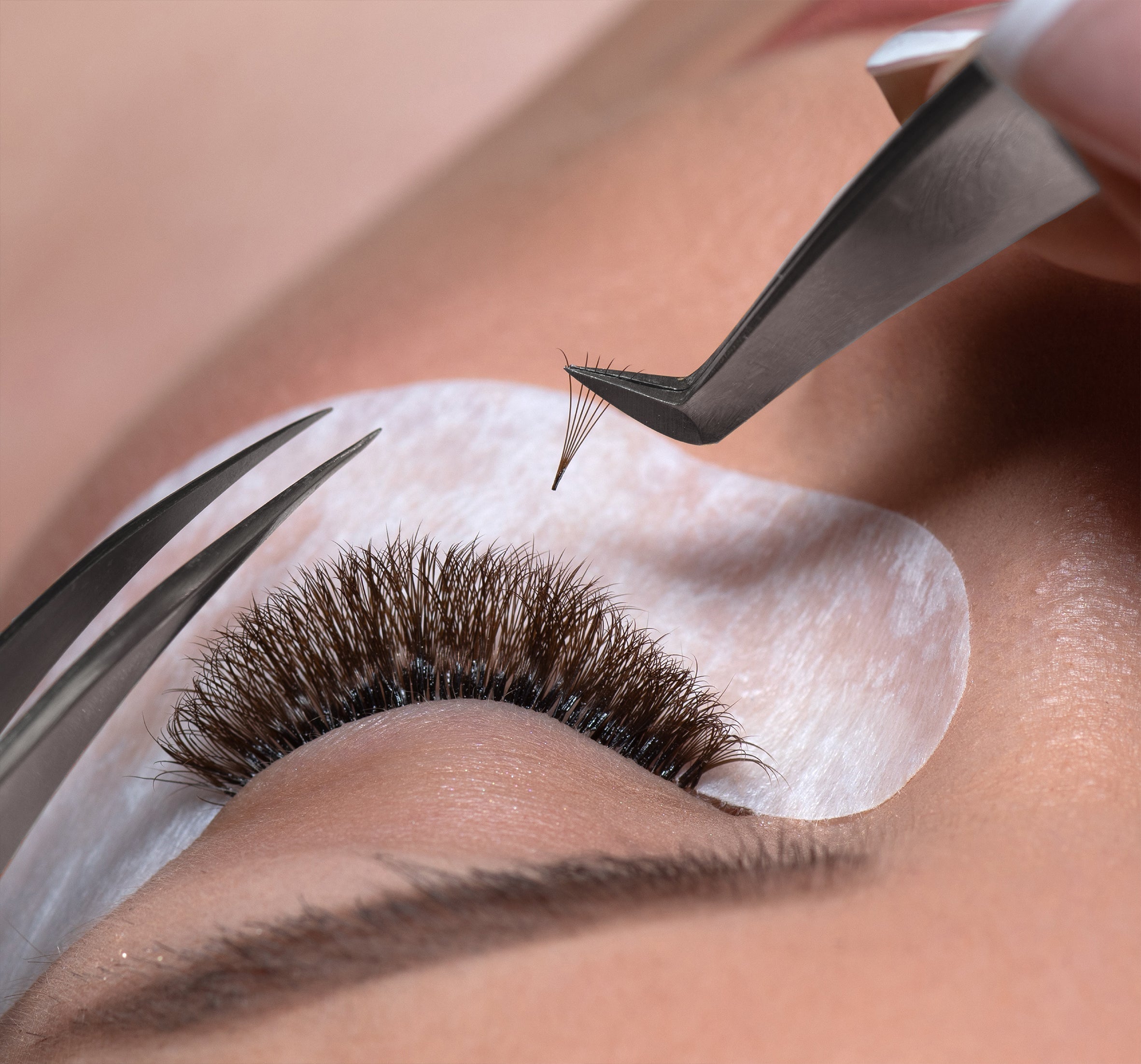 closeup of an eye while applying lash fans
