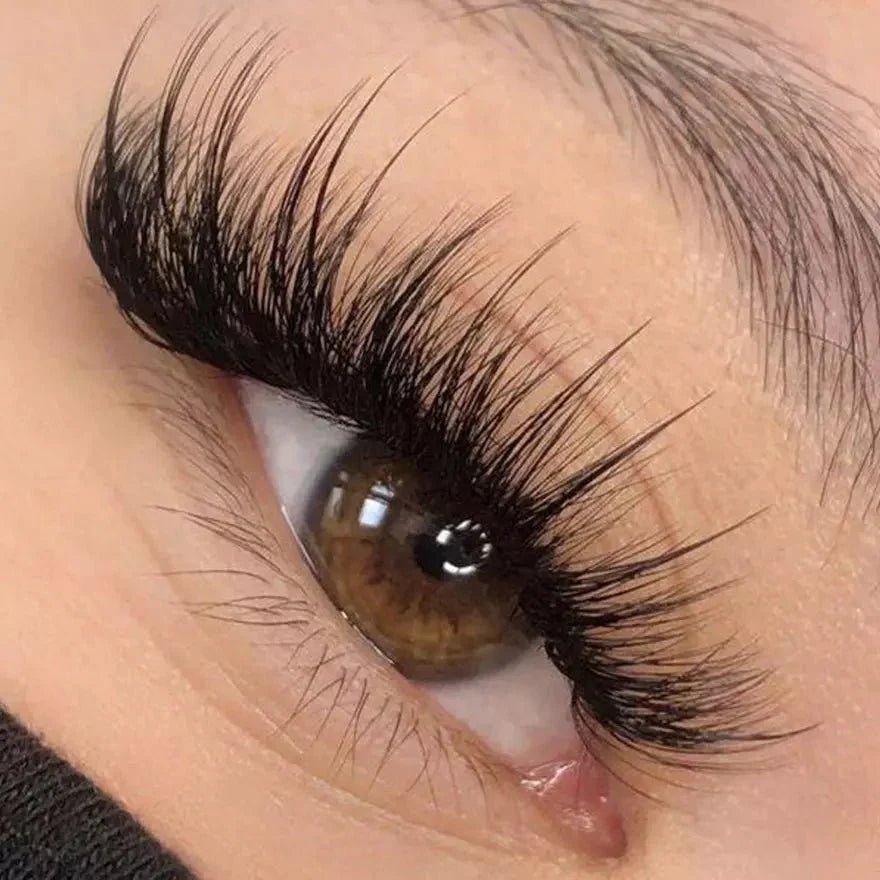 Lash fast - live like a pro! - Stacy Lash