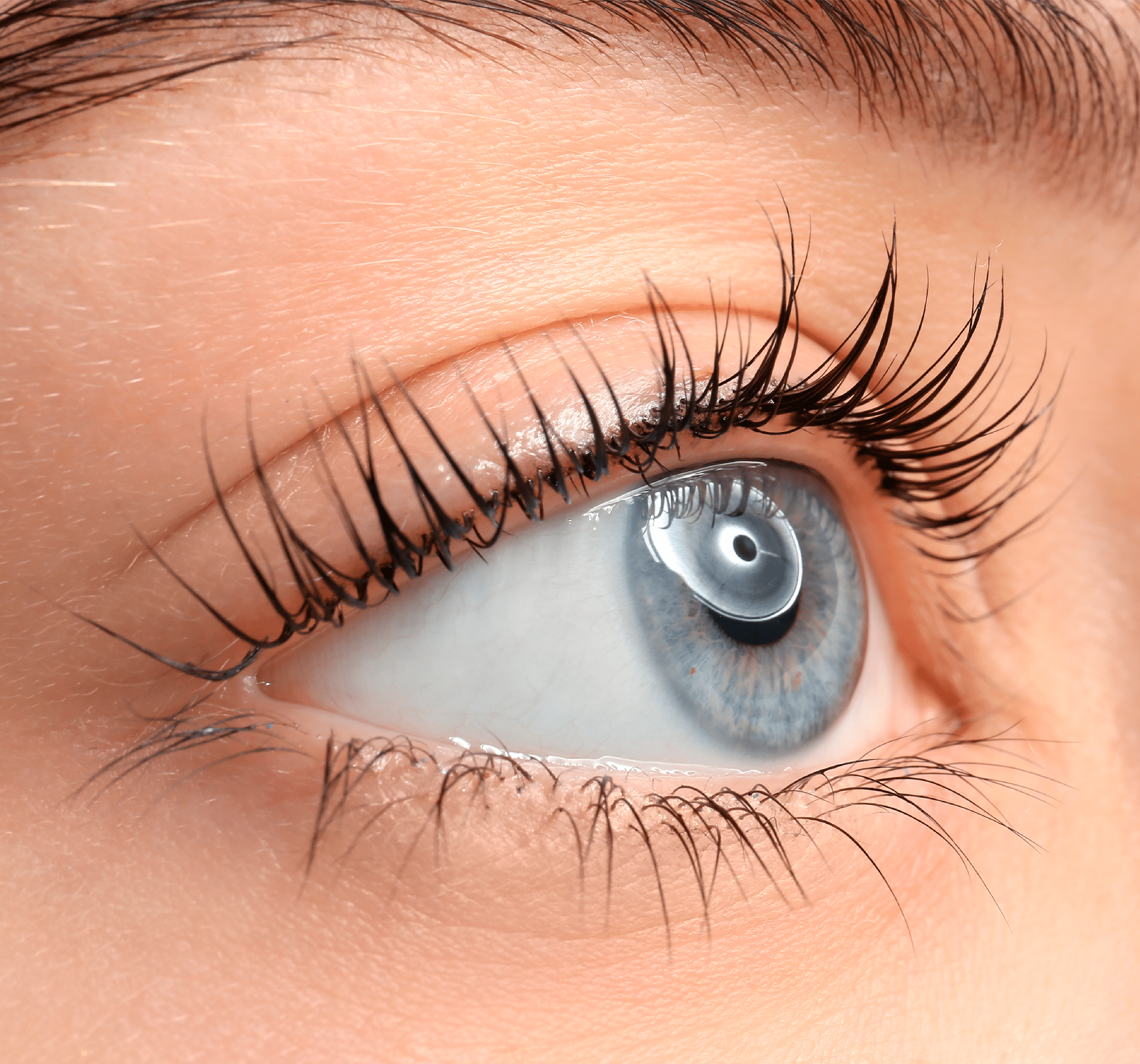a closeup of an eye with lash lift