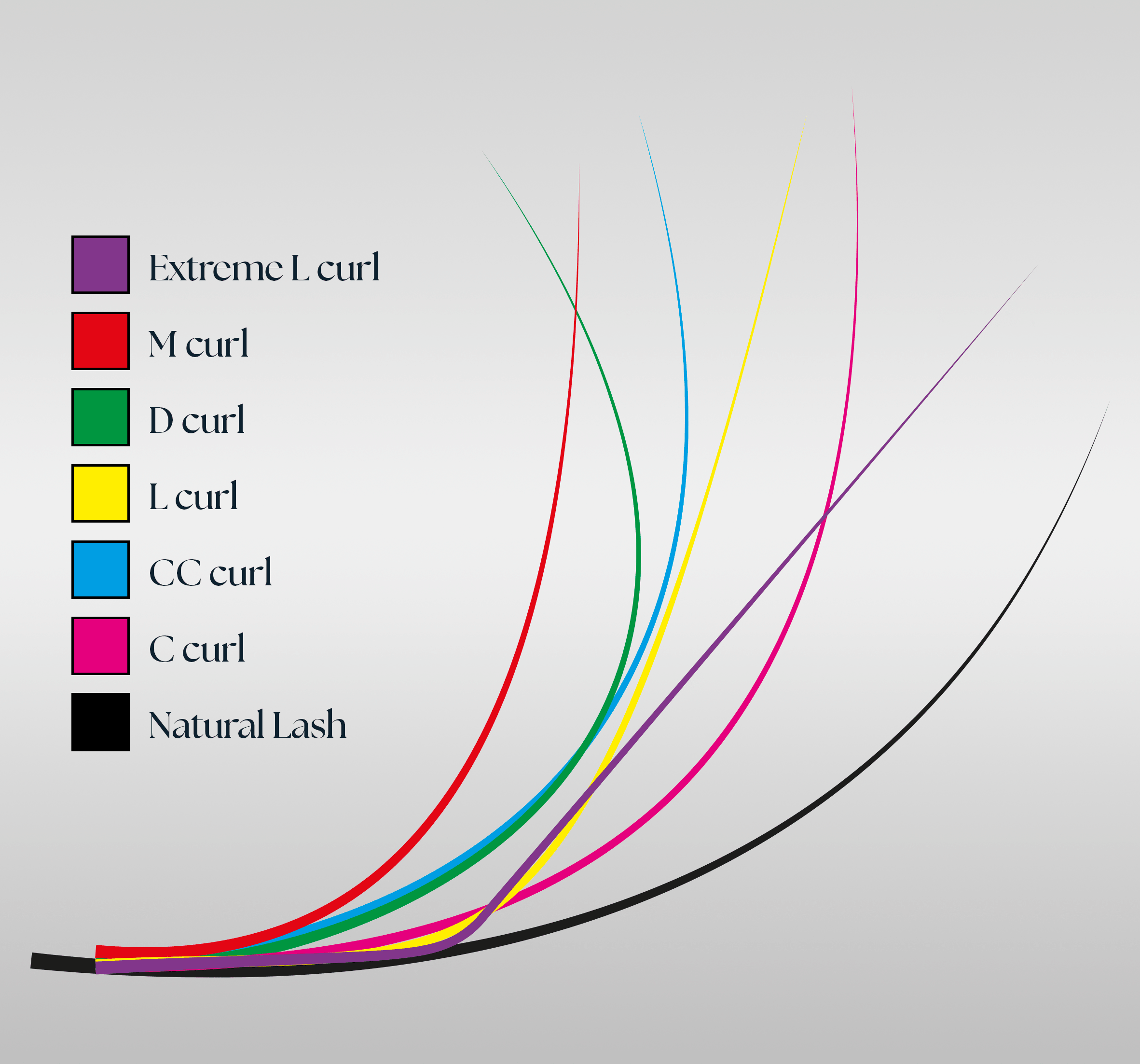an infographics of the lash curls