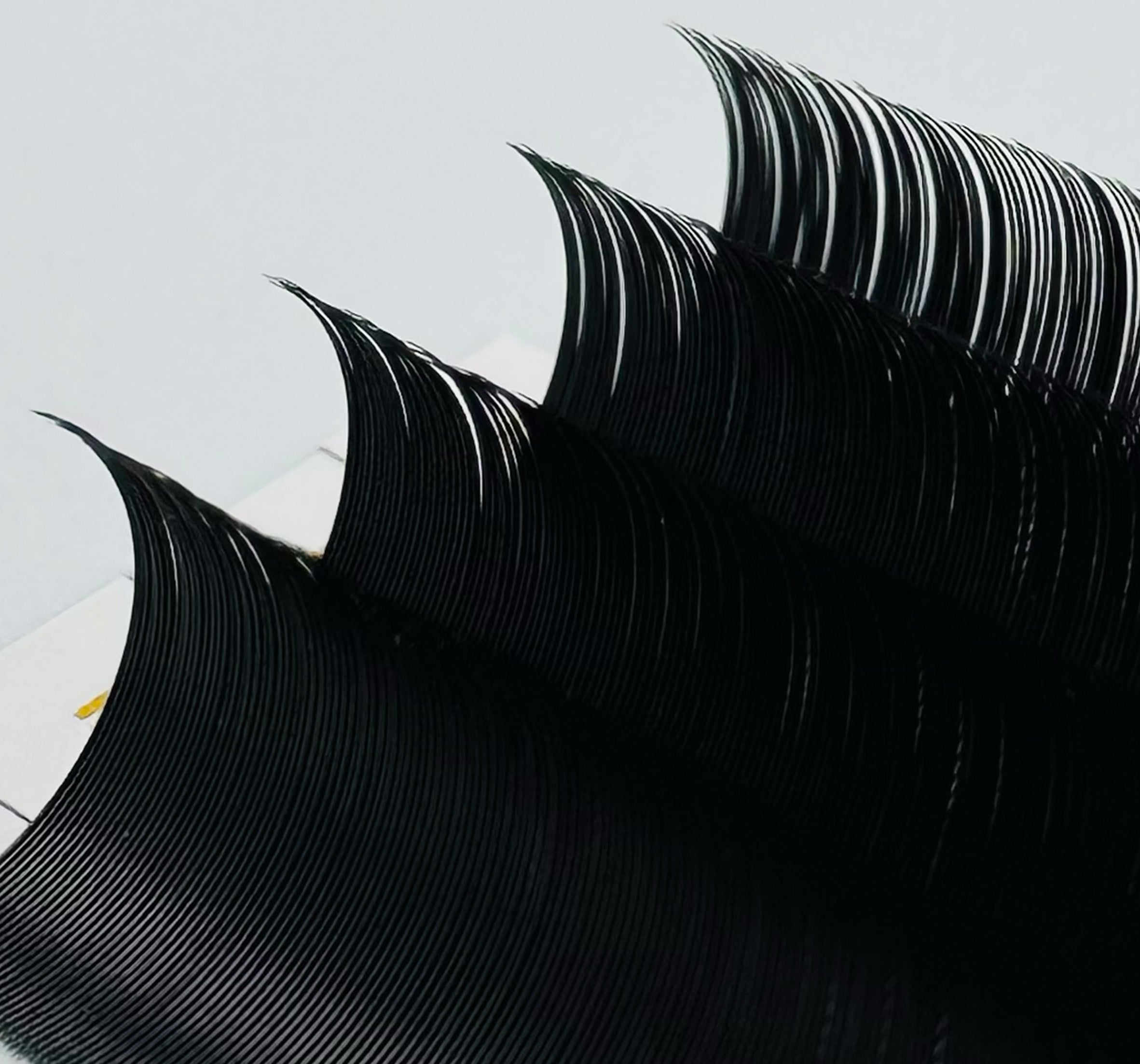 A close-up of professional lash fibers