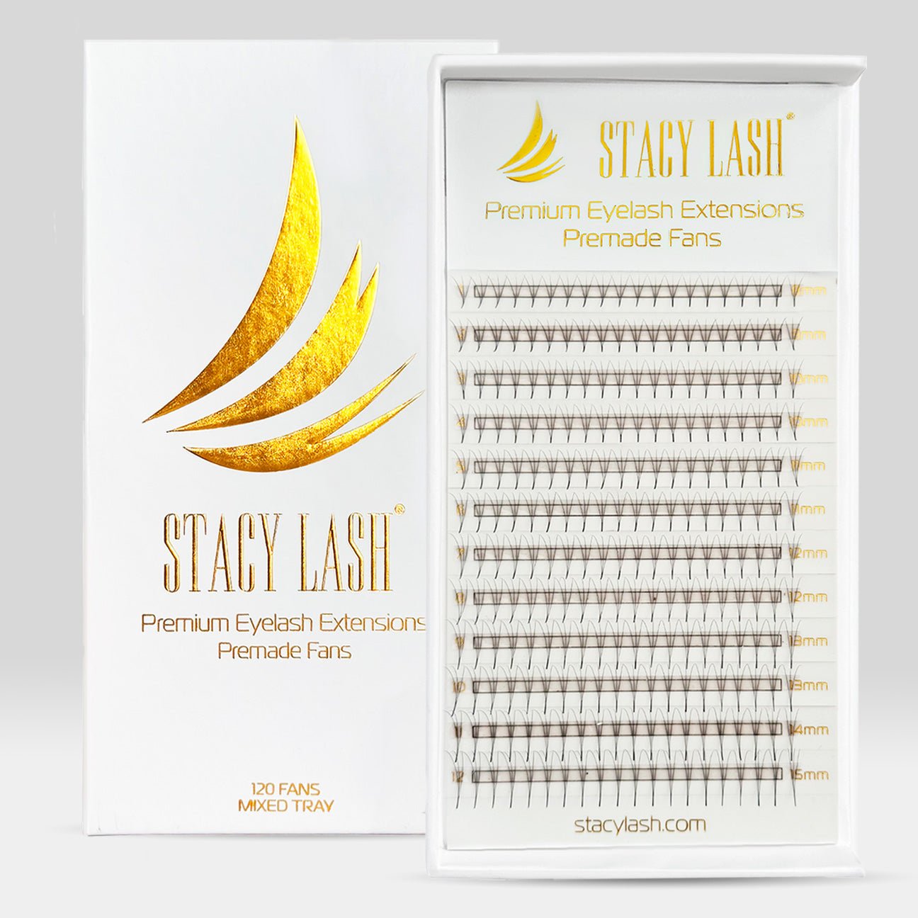 12D Premade Fans Eyelash Extensions - C