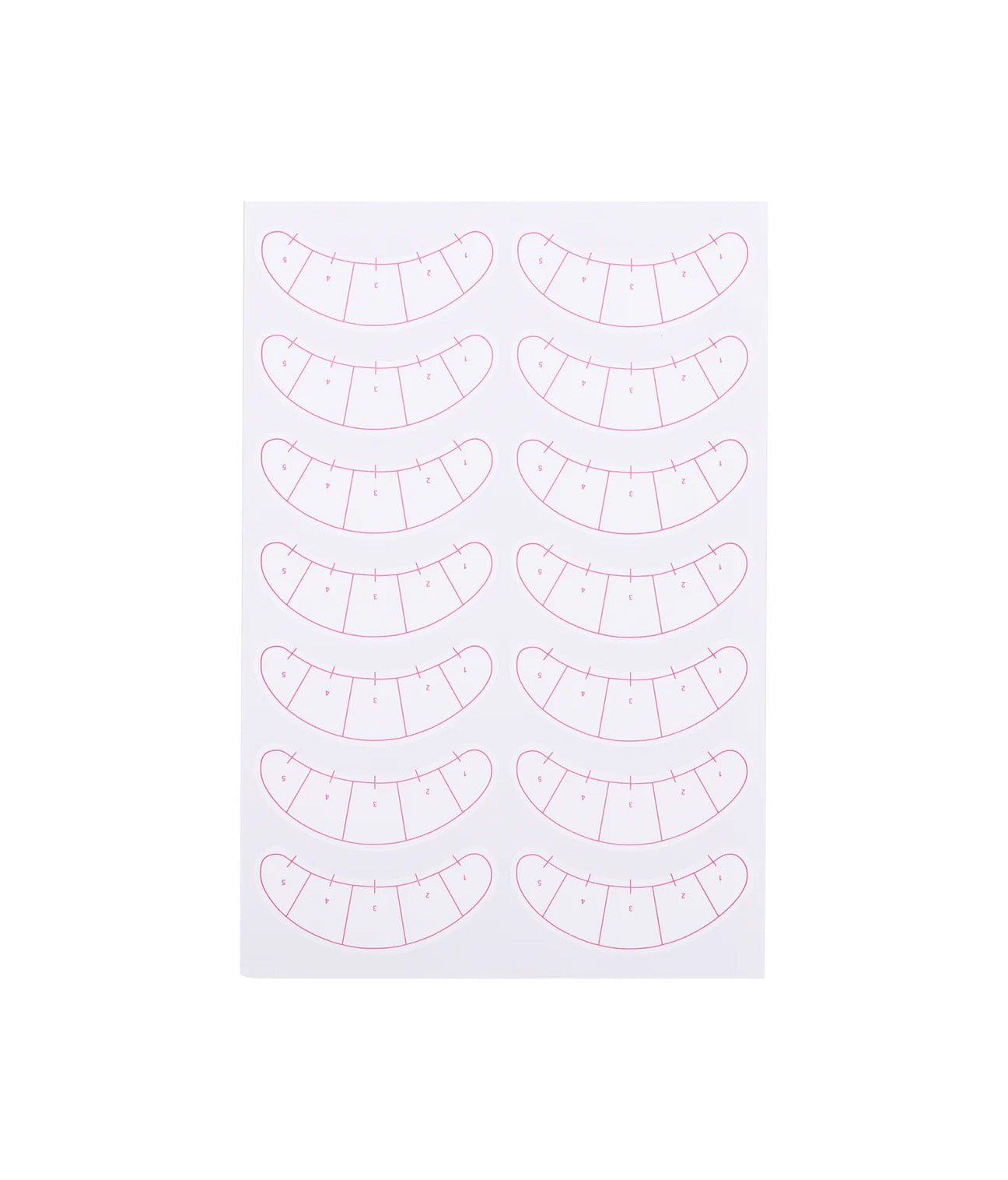 Practice Lashes (5pairs) + Lash Map (1pc) -
