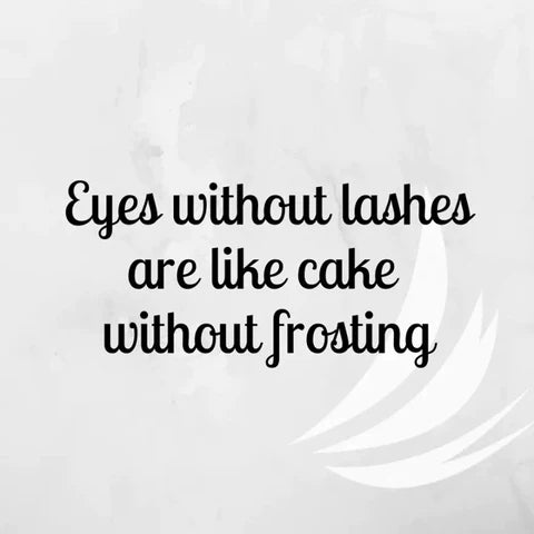 Eyes without lashes are like cake without frosting