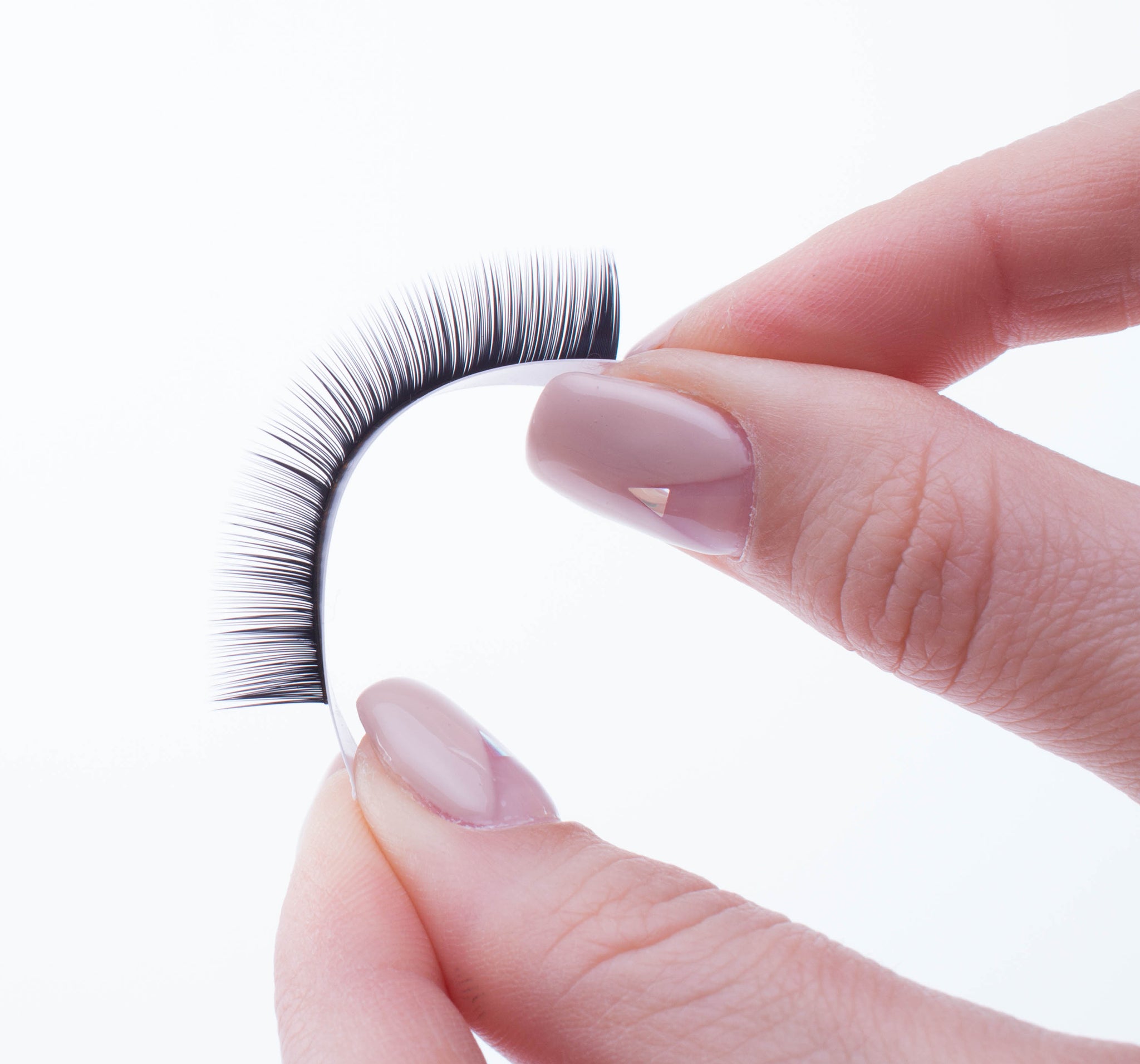What are mink lashes? Is mink lash from the animal mink?