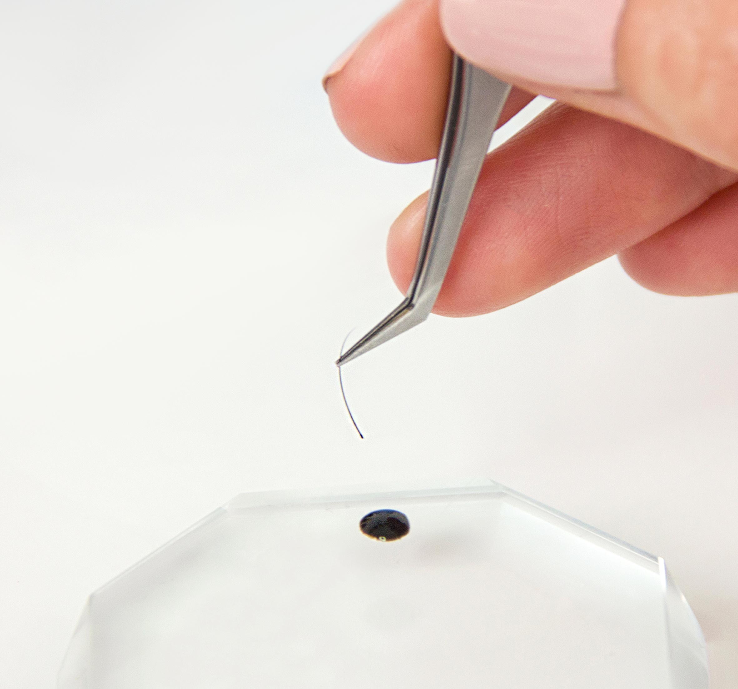 tweezers holding an extension and dipping it into the glue