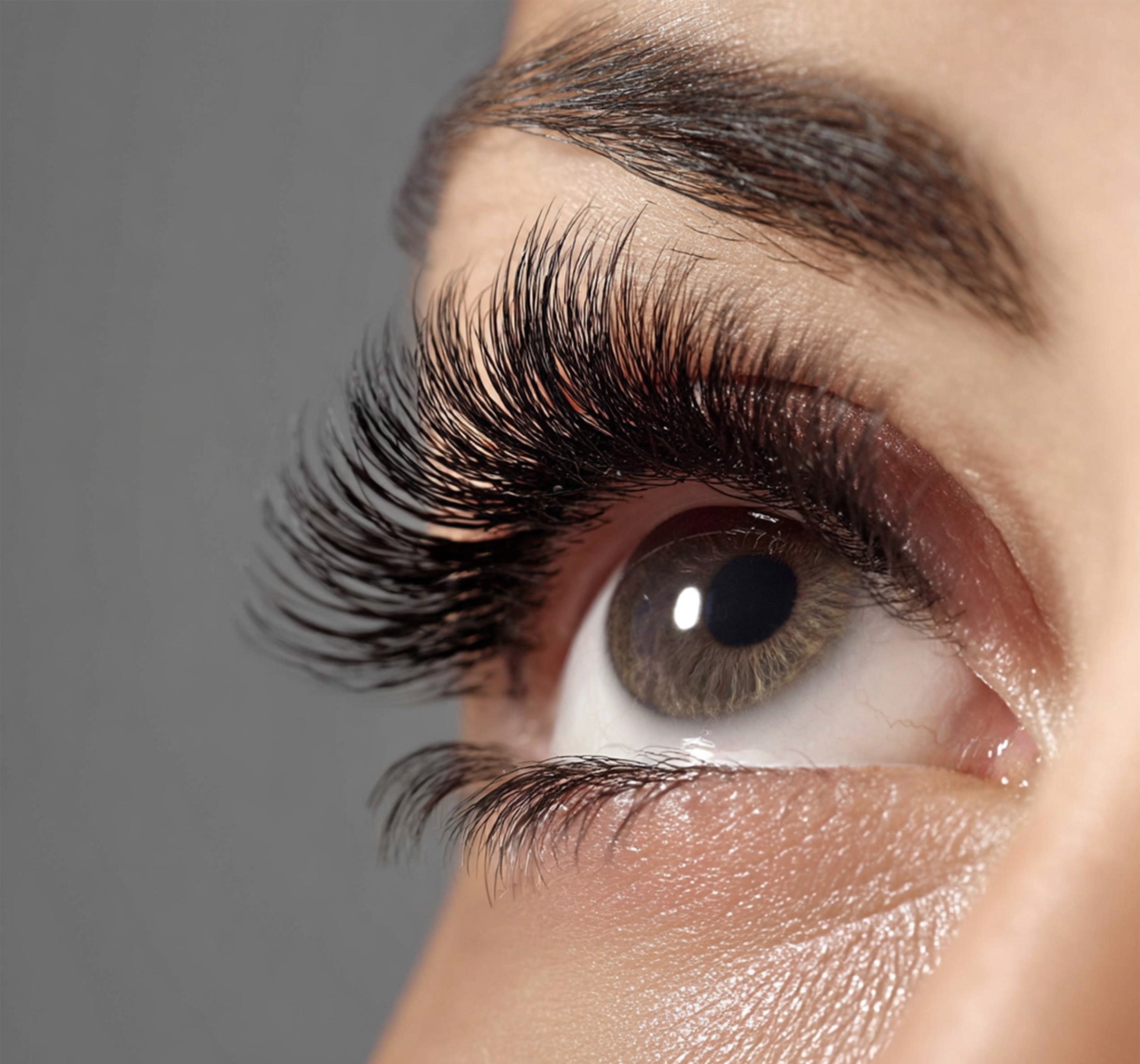 How the Eyelid Microbiome Affects Retention - Stacy Lash