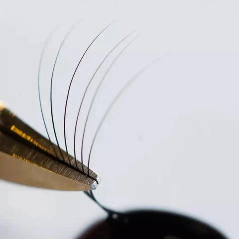 Surface Searches: finding the ideal glue drop holders - Stacy Lash