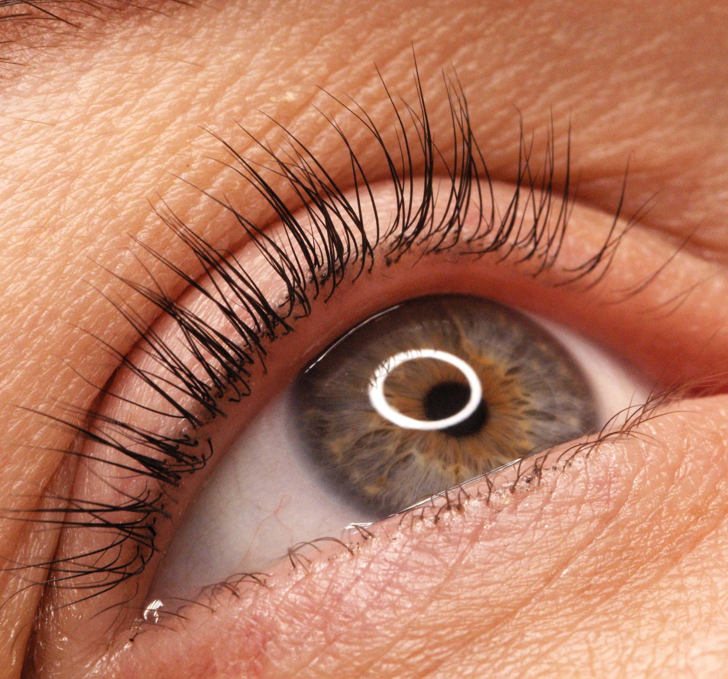 a closeup of an with performed lash lift