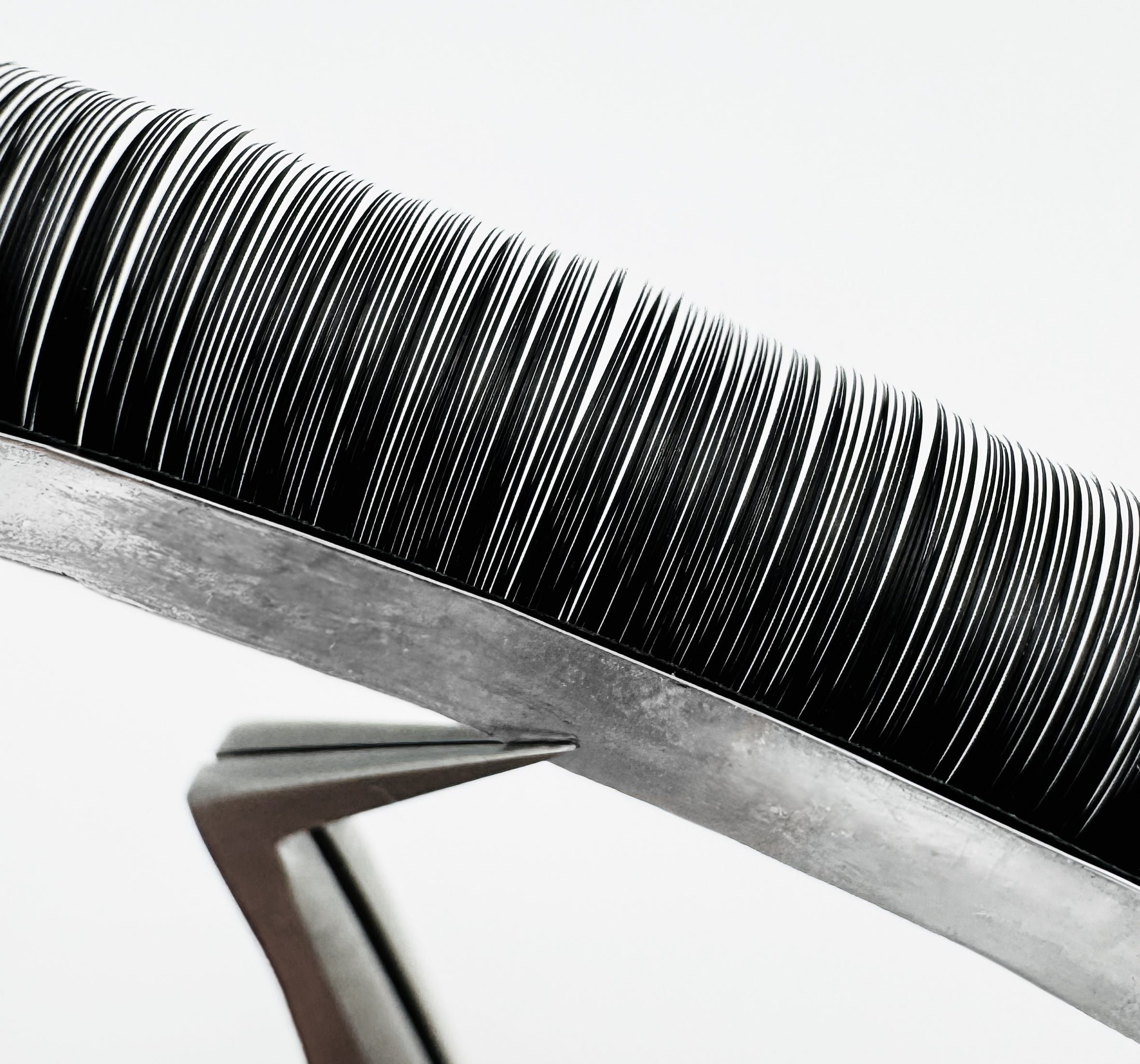 a closeup of a lash strip with extensions