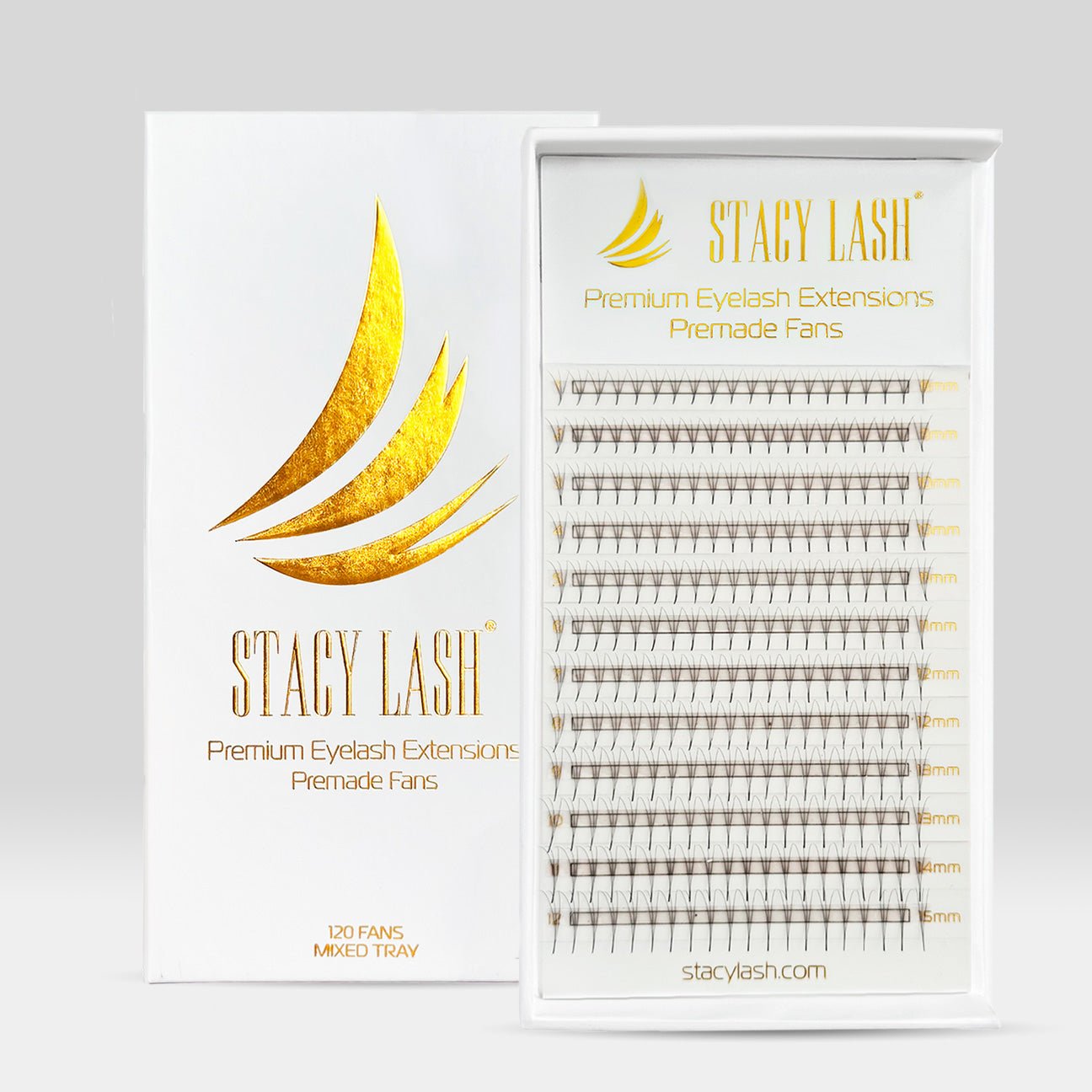 14D Premade Fans Eyelash Extensions - C