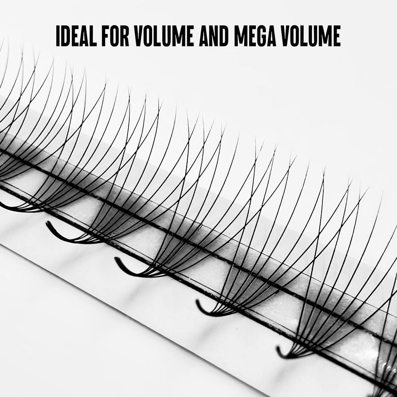 14D Premade Fans Eyelash Extensions - C