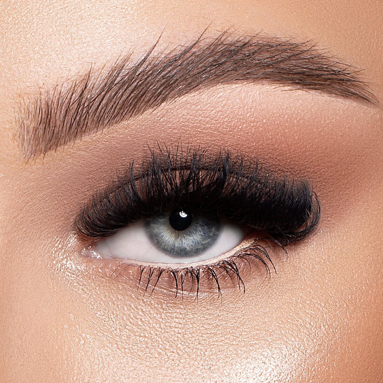 14D Premade Fans Eyelash Extensions - C