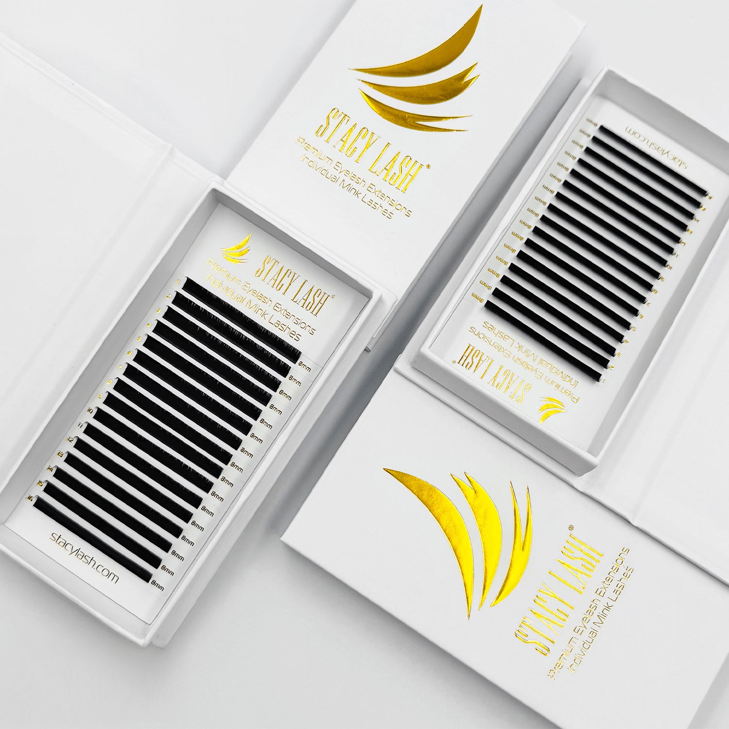 Stacy Lash Extensions trays Collection